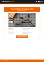 PDF manual sobre mantenimiento KUBISTAR