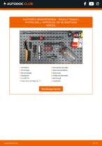 TRW DF4381 für TWINGO I Kasten (S06_) | PDF Handbuch zum Wechsel