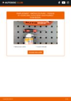 PHILIPS 36194030 pour 911 (996) | PDF tutoriel de changement
