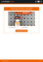 OSRAM 64210L pentru A6 Avant (4B5, C5) | PDF manualul de înlocuire