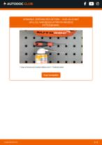 Jak wymienić i wyregulować Żarówka mijania Ksenon i LED: darmowy przewodnik pdf