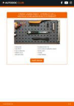 DENSO DOX-0121 pre C5 I (DC_) | PDF návod na výmenu