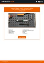 DENSO DOX-0121 pre C5 I Break (DE_) | PDF návod na výmenu