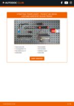 Bytte Tennplugger PEUGEOT 406 (8B): handleiding pdf