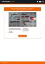 PDF návod na výmenu: Zapalovacia sviečka CITROËN C4 I (LC_)