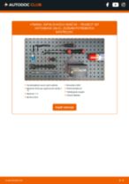 PDF návod na výmenu: Zapalovacia sviečka PEUGEOT 307 (3A/C)