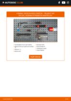 PDF návod na výmenu: Zapalovacia sviečka PEUGEOT 307 SW (3H)