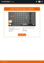 BERU 0002230901 pre DS3 | PDF návod na výmenu