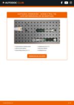 ALPINA D10 Nummernschildbeleuchtung LED und Halogen tauschen: Handbuch pdf