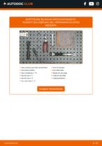 Cambio Bujías de incandescencia PEUGEOT bricolaje - manual pdf en línea