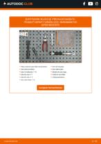 Reemplazar Bujías incandescentes PEUGEOT EXPERT: pdf gratis