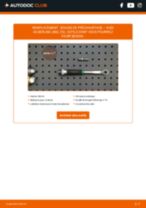 NGK DP20 pour A6 Berline (4B2, C5) | PDF tutoriel de changement