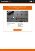 NGK 7658 per IGNIS II | PDF istruzioni di sostituzione