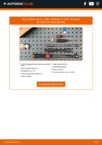 DENSO D105 pentru Signum CC (Z03) | PDF manualul de înlocuire