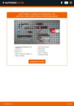 NGK 7642 per MULTIPLA (186) | PDF istruzioni di sostituzione