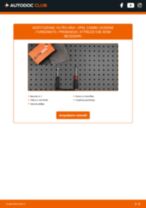 PURRO PUR-PA5025 per COMBO Cassone / Furgonato / Promiscuo | PDF istruzioni di sostituzione
