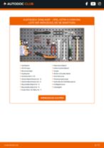 OPEL Blinklicht dynamische wechseln - Online-Handbuch PDF