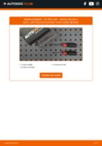 RIDEX 8A0087 pour FELICIA II (6U1) | PDF tutoriel de changement