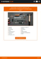 Stap-voor-stap PDF-handleidingen over het veranderen van Seat Altea 5p1 Deurslot
