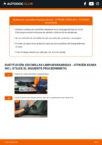 Cambio Plumas limpiaparabrisas delanteras y traseras CITROËN bricolaje - manual pdf en línea