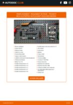 PDF manuel sur la maintenance de 205 II (20A/C) 1.9 Diesel
