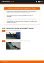 Cambio Lampada fendinebbia FIAT da soli - manuale online pdf