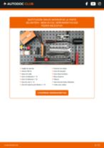 PDF manual sobre mantenimiento PEUGEOT PICK UP 2017