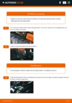 Come cambiare e regolare Spazzola tergi posteriore e anteriore: guida gratuita pdf