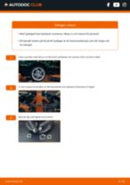 Hur byter man och justera Hjullagersats bak och fram: gratis pdf guide
