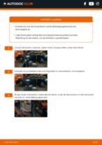 Wie Bremssattel-Reparatur-Set auswechseln und einstellen: kostenloser PDF-Anleitung