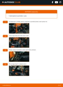 Amortizer prtljažnih vrat: vodič menjave na avtu