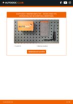 JAGUAR S-Type I Sensor Raddrehzahl: Online-Handbuch zum Selbstwechsel