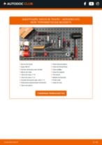 PDF manual sobre manutenção de VITO