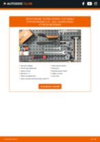 MOOG FI-ES-2512 per Doblo Station Wagon (119_, 223_) | PDF istruzioni di sostituzione