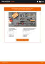 RIDEX 82B0022 per 208 I Hatchback (CA_, CC_) | PDF istruzioni di sostituzione