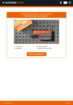 VOLVO Salona filtrs nomaiņa dari-to-pats - tiešsaistes instrukcijas pdf