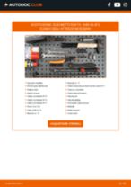 PDF manuale sulla manutenzione A6 Sedan (4F2, C6) 4.2 quattro