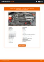 Hvordan bytte og justere Hjullagersett AUDI A6: pdf håndbøker