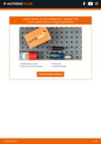 MANN-FILTER PU 7010 z per 206 CC (2D) | PDF istruzioni di sostituzione