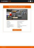 FORD Radlagersatz hinten rechts links wechseln - Online-Handbuch PDF