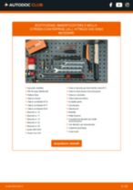 PDF manuale sulla manutenzione C2 Enterprise (JG_) 1.1