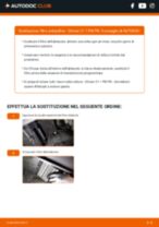 Renault Scenic 2 Batteria sostituzione: tutorial PDF passo-passo