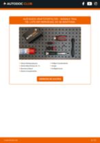 Werkstatthandbuch für X-TRAIL (T30) 2.2 dCi 4x4 online