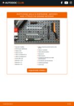 DACO Germany 802315 per Classe B (W245) | PDF istruzioni di sostituzione