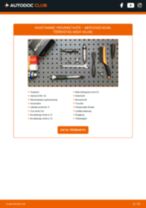 PDF asendamise juhend: Piduriketas MERCEDES-BENZ B-klass (W245) tagumine ja eesmine