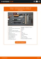 Онлайн наръчници за ремонт PEUGEOT 207 за професионални механици или автолюбители, които правят самостоятелни ремонти