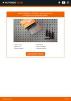 Cambio Lampada anabbagliante LED e Xenon CITROËN da soli - manuale online pdf