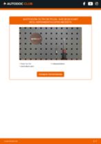 KRAFT 1730020 para 80 Avant (8C5, B4) | PDF guía de reemplazo