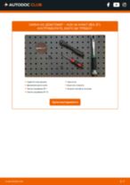 Обновяване Дебитомер AUDI A4 Avant (8ED, B7): безплатни онлайн инструкции