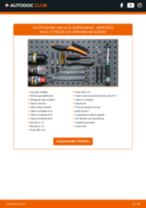 PDF manuale sulla manutenzione MERCEDES-BENZ CITARO 2017